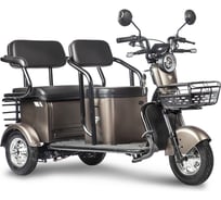 Трицикл Rutrike Караван 022926-2421