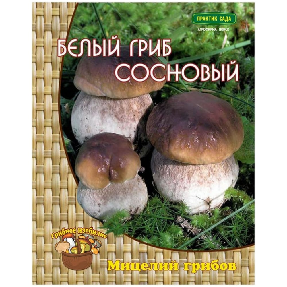 Мицелий на компосте Поиск Белый гриб сосновый 60 мл 4601887286752 -  выгодная цена, отзывы, характеристики, фото - купить в Москве и РФ