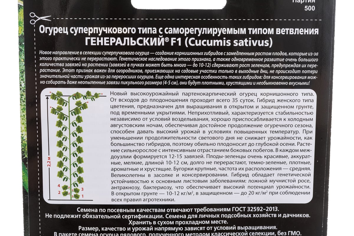 Огурец Генеральский: характеристика и описание сорта, фото