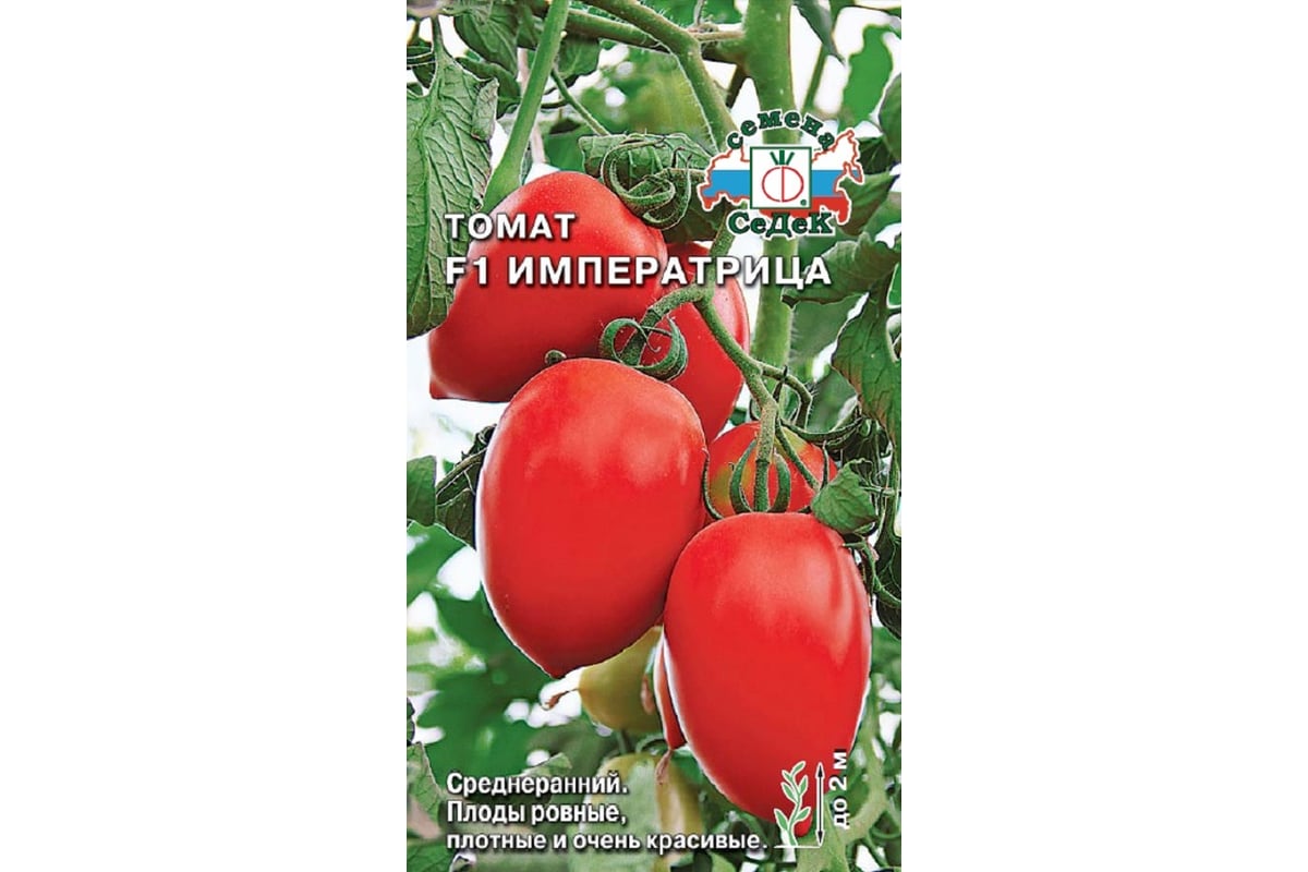 семена томат императрица f1. седек томат императрица f1. седек томат императрица f1. фото томата императрица. сорт томатов императрица.