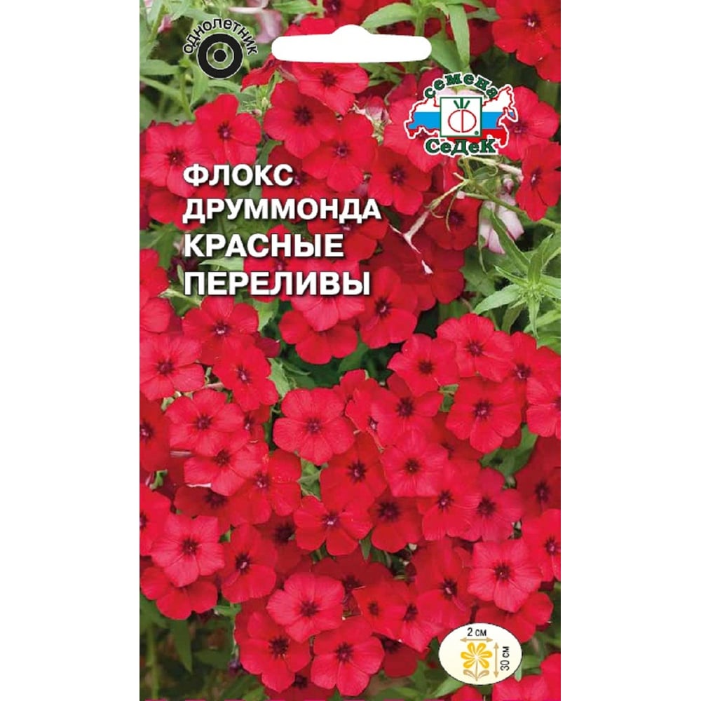 Семена СеДек Флокс Красные переливы 00000017153 - выгодная цена, отзывы ...