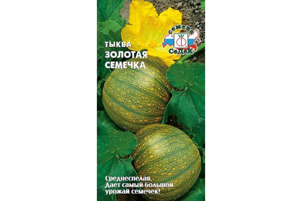 Семена СеДек тыква Золотая семечка 00000014092 - выгодная цена, отзывы ...