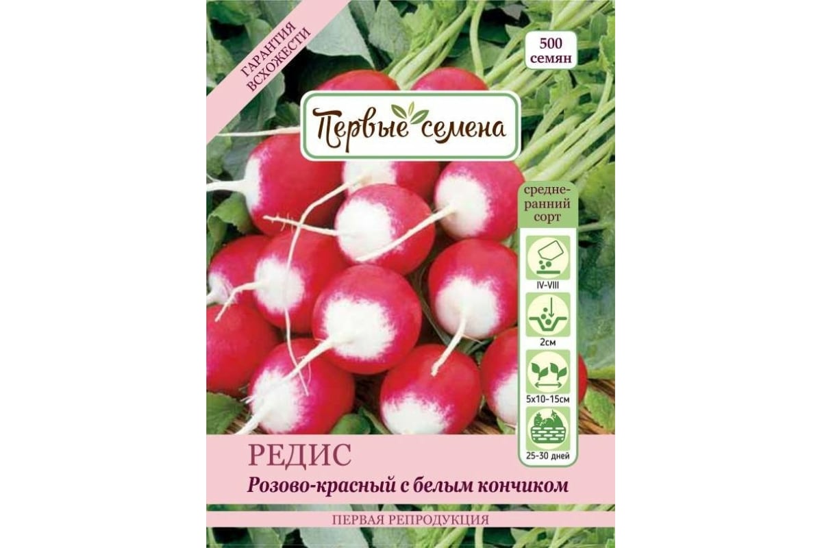 Ранние семена. Редис розово красный. Редис с белым кончиком. Первые семена. Редис розово-красный с белым кончиком фото.