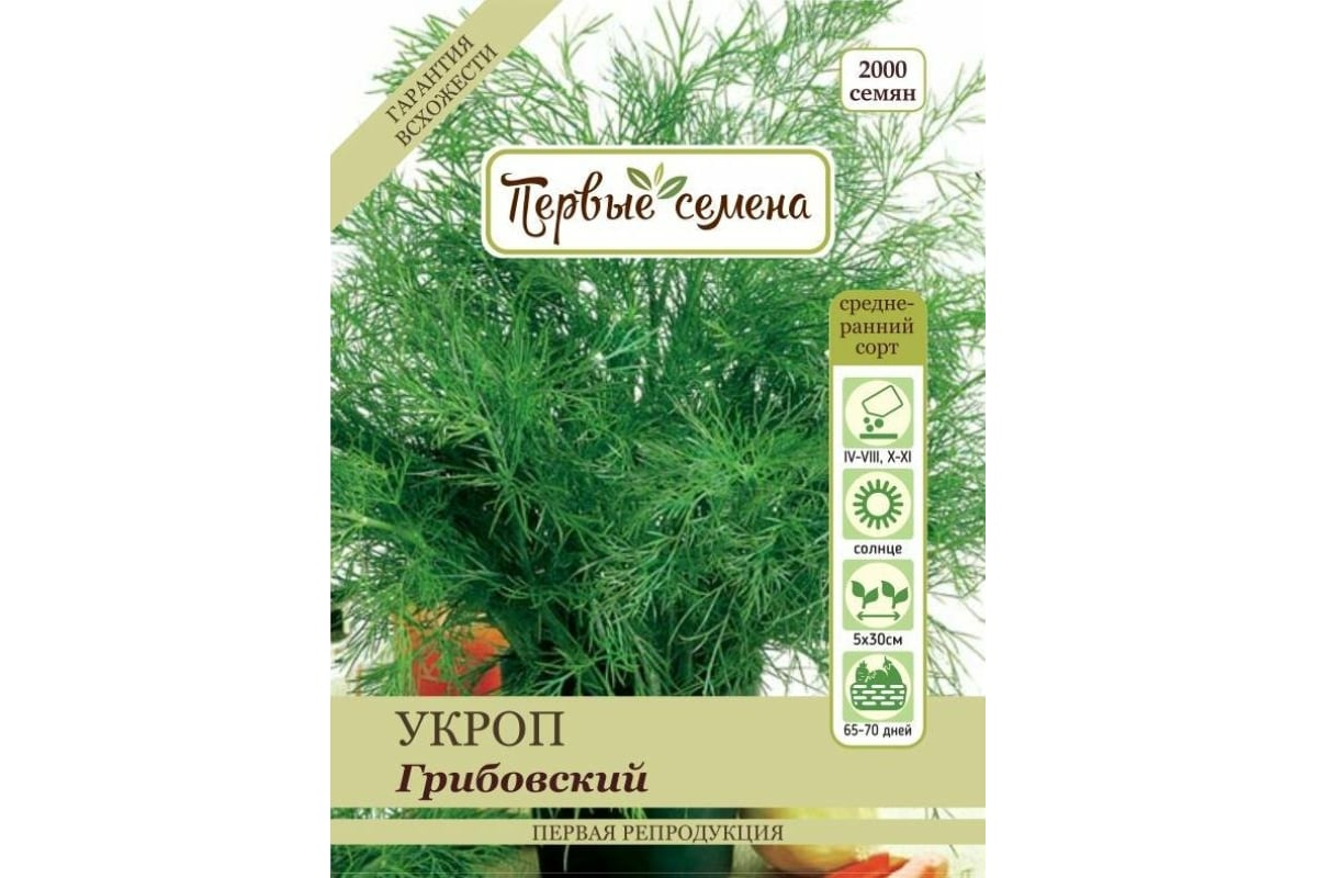 Сорта укропа. Укроп сорт Кибрай. Укроп Грибовский. Сорт укропа Кибрай характеристика. Укроп семена кустовые сорта.