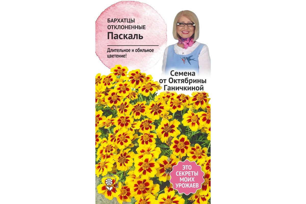 Семена ОКТЯБРИНА ГАНИЧКИНА Бархатцы Паскаль 0.15 г 118850