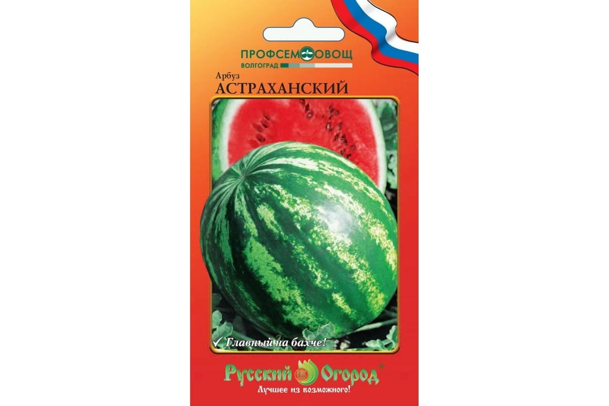 Семена РУССКИЙ ОГОРОД Арбуз Астраханский О.Ю. 1 г 324408