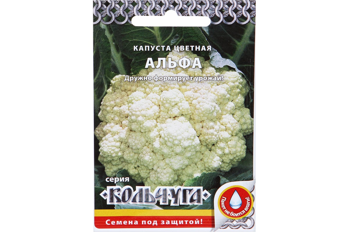 Семена РУССКИЙ ОГОРОД Капуста цветная Альфа Кольчуга 0.5 г Е01007 ...