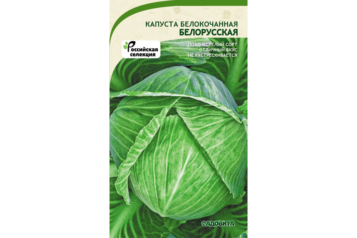 Семена САДОВИТА Капуста Белорусская белокочанная 0.5 г 00160642 - выгодная  цена, отзывы, характеристики, фото - купить в Москве и РФ