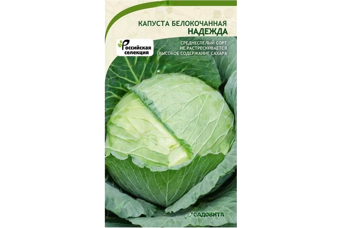Семена САДОВИТА Капуста Надежда белокочанная 0.5 г 00192738 - выгодная  цена, отзывы, характеристики, фото - купить в Москве и РФ