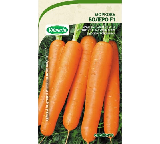 Морковь Болеро описание характеристики правила выращивания отзывы