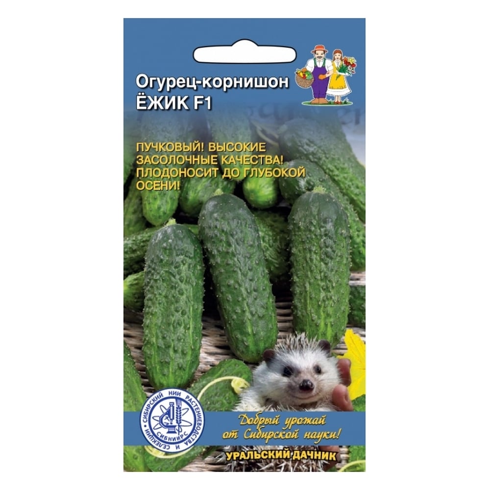 Семена Огурцы Уральский Дачник Купить
