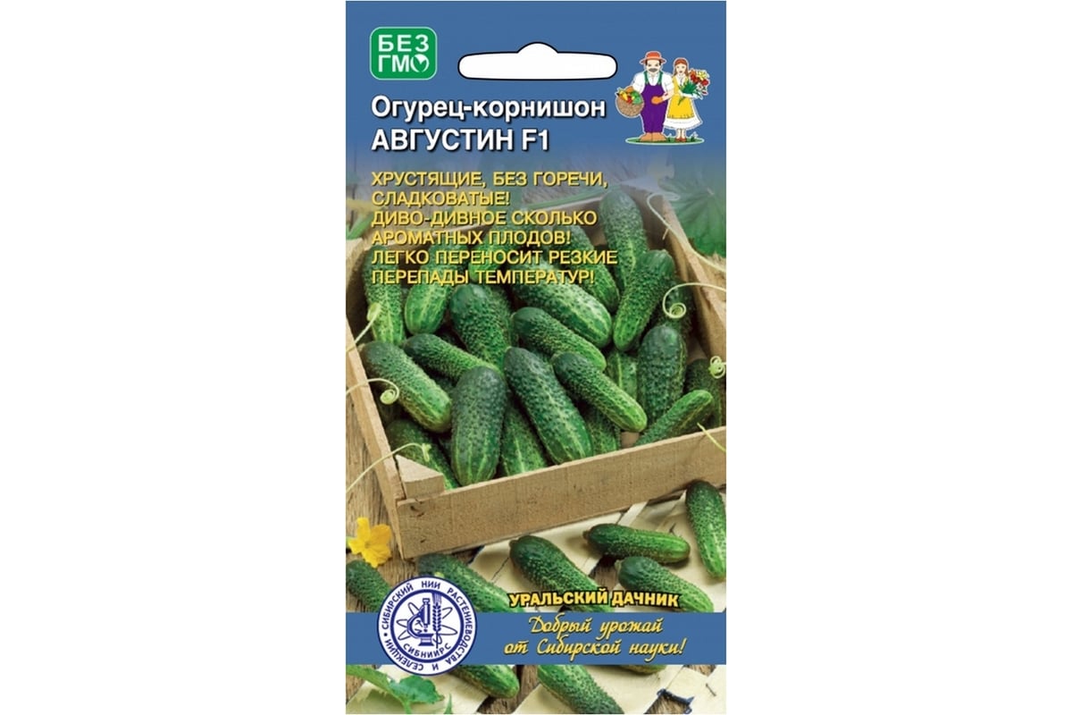 Огурцы Агрофирма Аэлита Огурец партенокарпический 1 - купить по выгодным ценам в