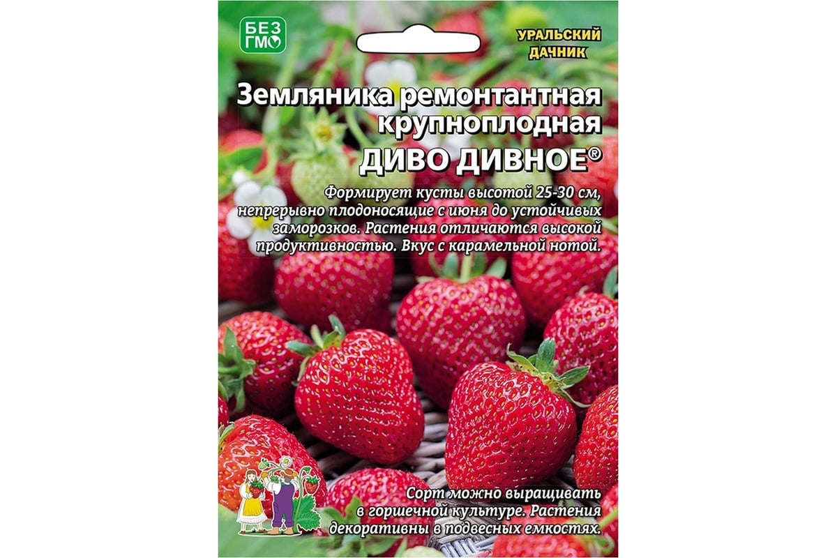 Семена Уральский дачник земляника ремонтантная Диво дивное 4627172215139 -  выгодная цена, отзывы, характеристики, фото - купить в Москве и РФ