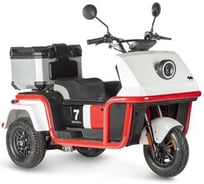 Электротрицикл Wanshida DOUHAO 60V 800Вт 0000294-3069