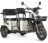 Электротрицикл Wanshida LC300 60V 1000Вт 0000310-3077