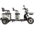 Электротрицикл Wanshida LC300 60V 1000Вт 0000310-3077 3
