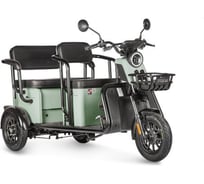 Электротрицикл Wanshida LC300 60V 1000Вт 0000310-3076