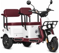 Электротрицикл Wanshida U1-X 60V 800Вт 0000307-3097