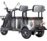 Электротрицикл Wanshida U1-X 60V 800Вт 0000307-3097 2