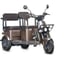 Электротрицикл Wanshida U1-X 60V 800Вт 0000307-3093 1