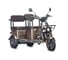 Электротрицикл Wanshida U1-X 60V 800Вт 0000307-3093 1