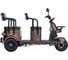 Электротрицикл Wanshida U1-X 60V 800Вт 0000307-3093 3