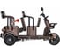 Электротрицикл Wanshida U1-X 60V 800Вт 0000307-3093 4