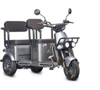 Электротрицикл Wanshida U1-X 60V 800Вт 0000307-3094