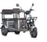 Электротрицикл Wanshida U1-X 60V 800Вт 0000307-3094 1