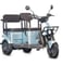 Электротрицикл Wanshida U1-X 60V 800Вт 0000307-3095 1