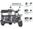 Электротрицикл Wanshida U1-X 60V 800Вт 0000307-3095 6