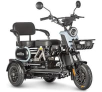 Электротрицикл Wanshida UN MOTO 60V 650Вт 0000285-3103