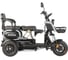 Электротрицикл Wanshida UN MOTO 60V 650Вт 0000285-3103 3