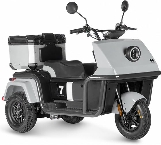 Электротрицикл Wanshida DOUHAO 60V 800Вт 0000294-3068