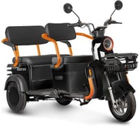 Электротрицикл Rutrike Gelbert Beta 48V/60V 800Вт 0000256-3028