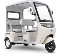 Электротрицикл Rutrike Астра 026357-3269