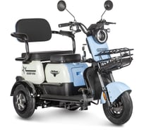 Трицикл Rutrike Вега 026352-3252