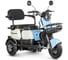 Трицикл Rutrike Вега 026352-3252 1