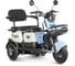 Трицикл Rutrike Вега 026352-3252 1