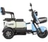 Трицикл Rutrike Вега 026352-3252 10