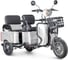 Трицикл Rutrike Тубан 026351-3248 1