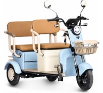 Электротрицикл Rutrike Атлас 026353-3257