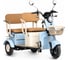 Электротрицикл Rutrike Атлас 026353-3257 1