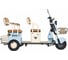 Электротрицикл Rutrike Атлас 026353-3257 6