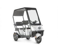 Электротрицикл Wanshida NIPLA 500 60V 1000Вт 0000296-3085