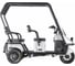 Электротрицикл Wanshida NIPLA 500 60V 1000Вт 0000296-3085 2