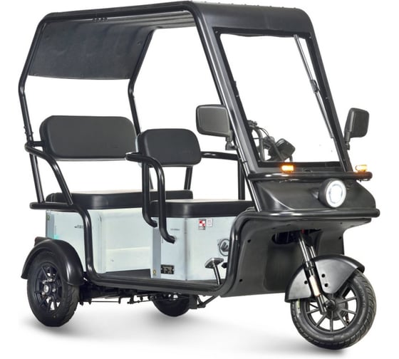 Электротрицикл WANSHIDA NIPLA 570 60V 1000Вт 0000299-3089