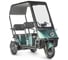 Электротрицикл Wanshida NIPLA 500 60V 1000Вт 0000296-3084 1