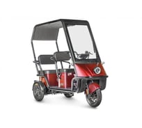 Электротрицикл Wanshida NIPLA 500 60V 1000Вт 0000296-3086