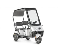 Электротрицикл Wanshida NIPLA 500 60V 1000Вт 0000296-3087